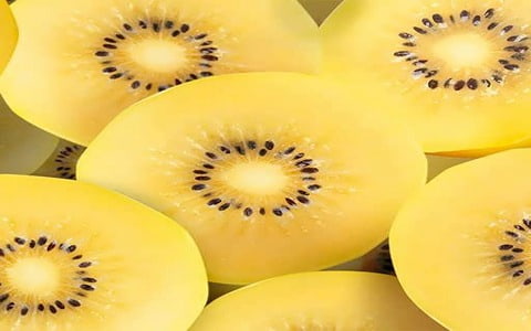 تصویر 1 از قیمت کیوی هایوارد طلایی + خرید باور نکردنی